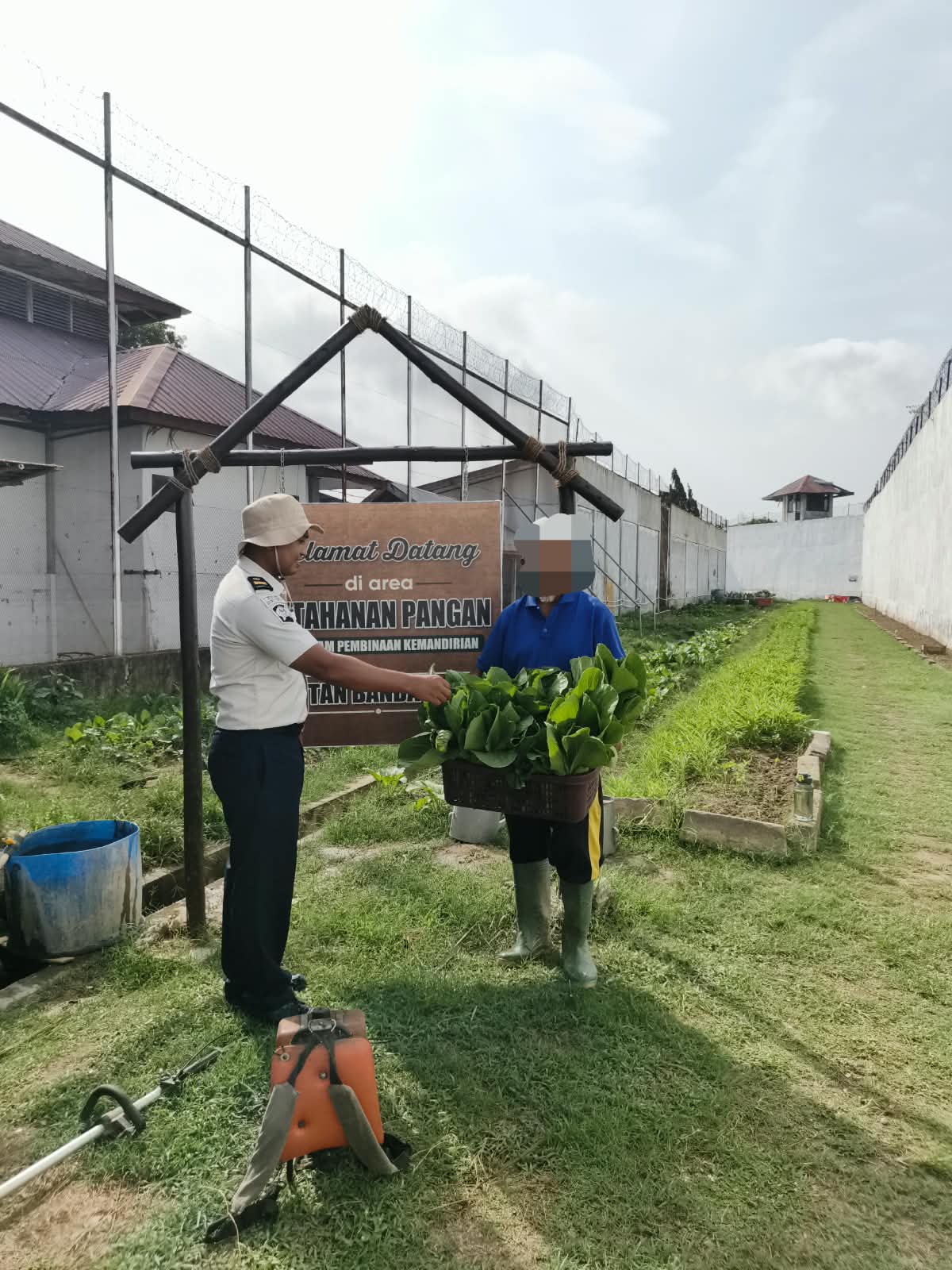 Menanam Harapan dari Balik Jeruji, WBP Rutan Banda Aceh Berkarya Lewat Ketahanan Pangan