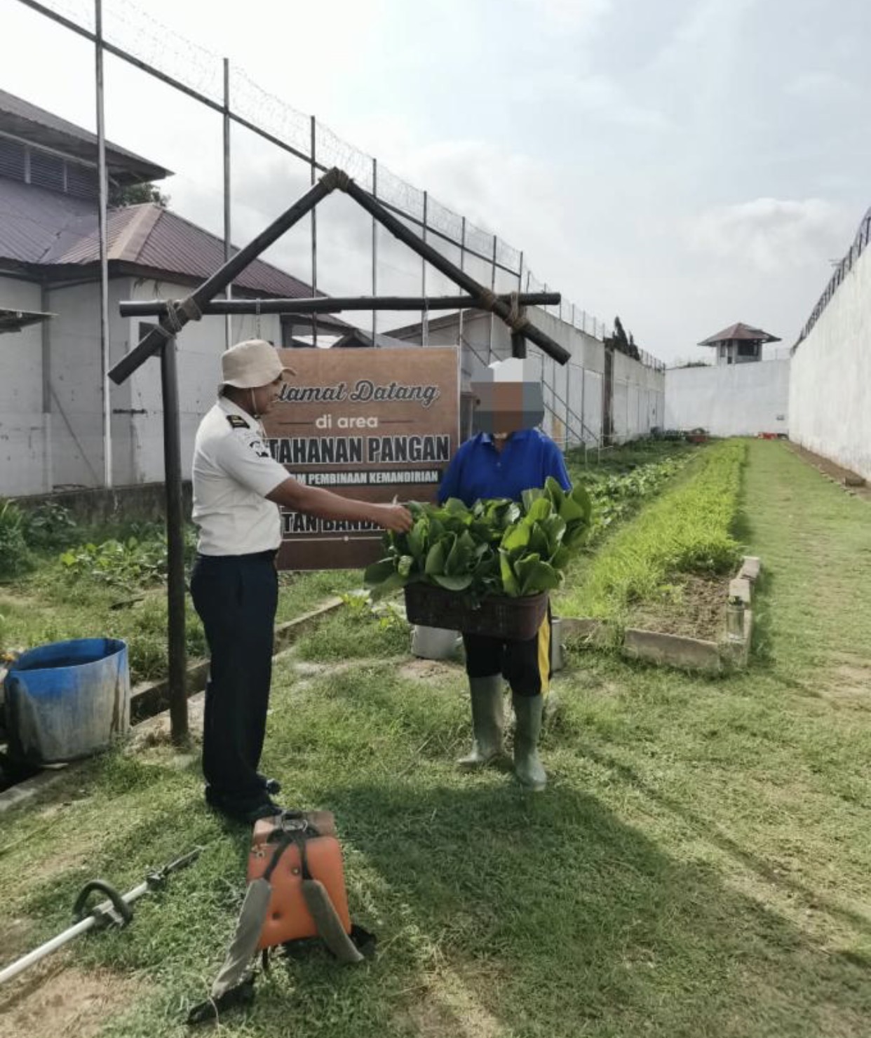 Menanam Harapan dari Balik Jeruji, WBP Rutan Banda Aceh Berkarya Lewat Ketahanan Pangan