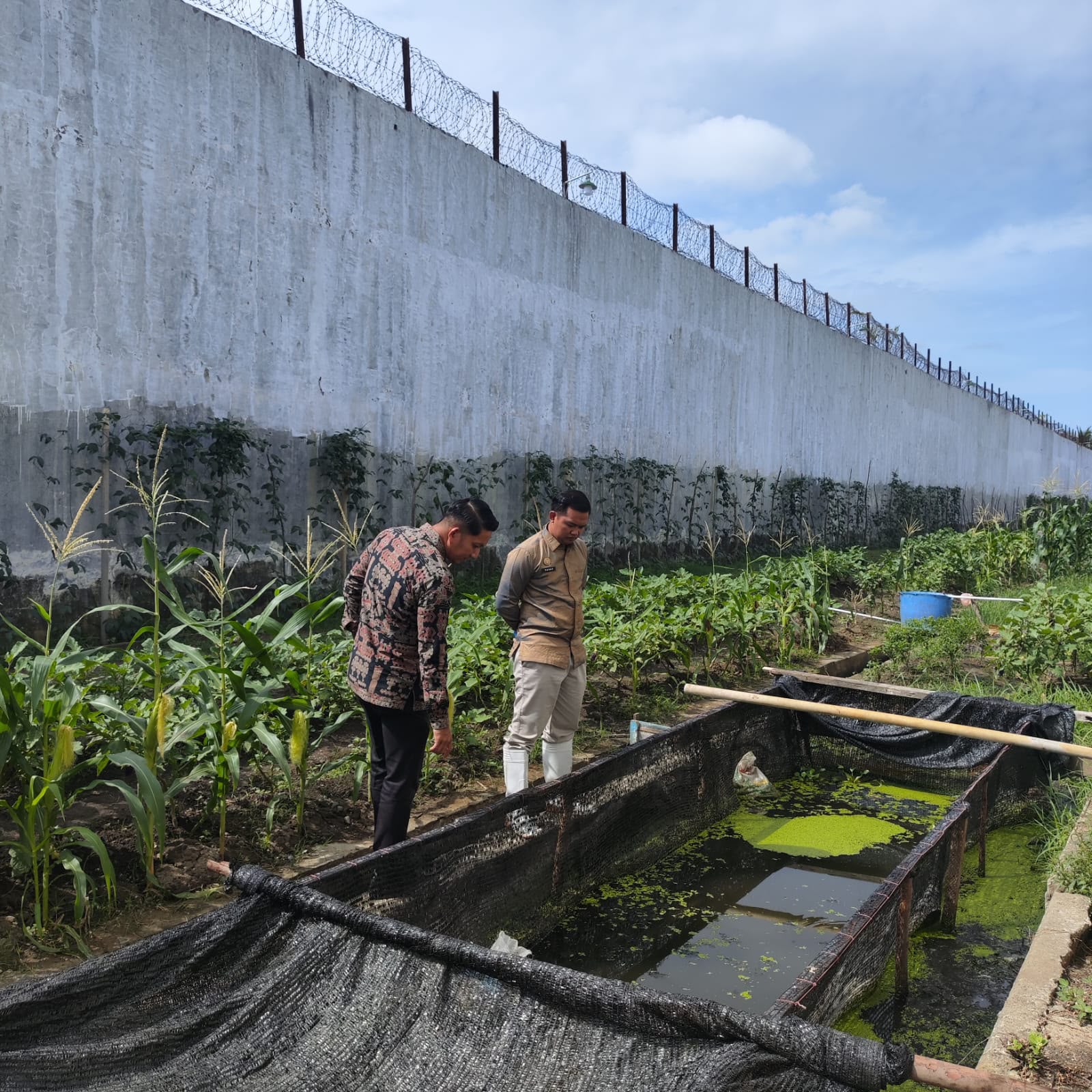 Tingkatkan Deteksi Dini dan Produktivitas, Ka. KPR Rutan Banda Aceh Cek Area Branggang dan Pembibitan Pakcoi