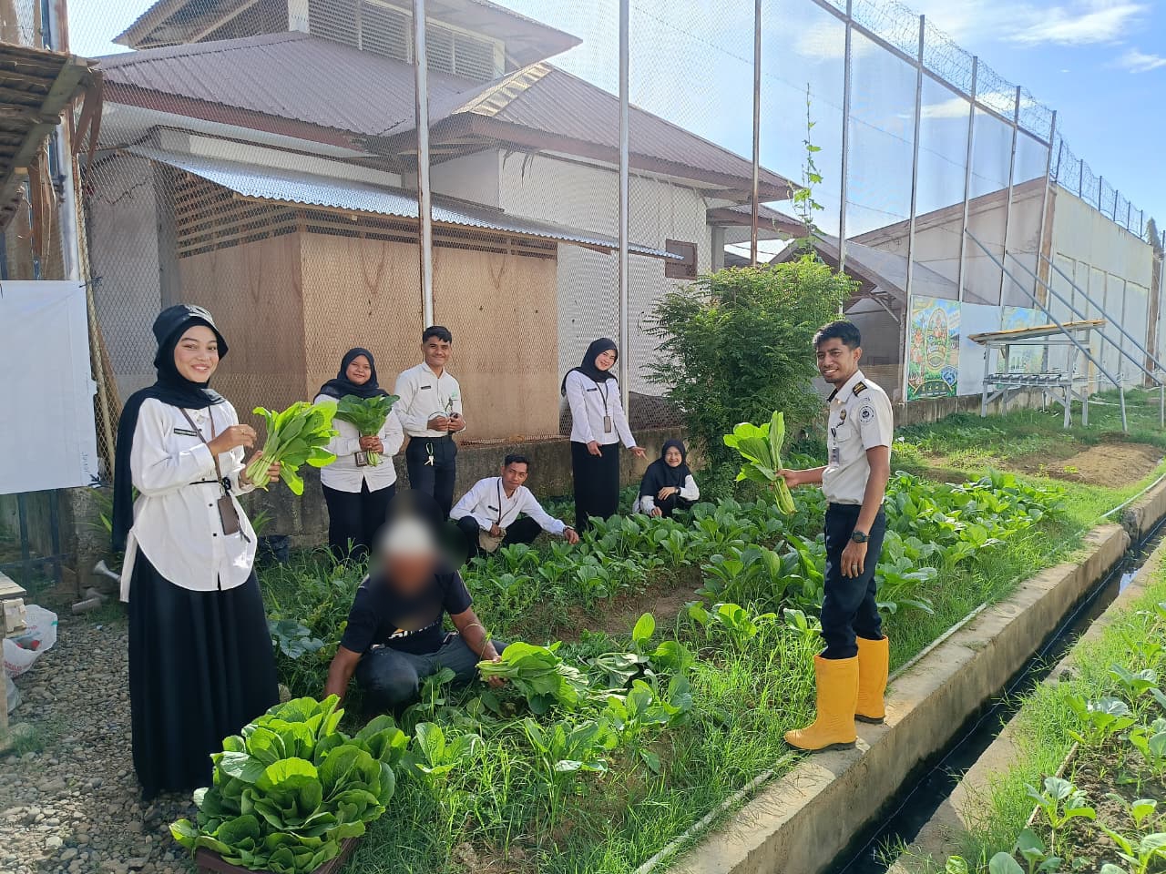 Dukung Ketahanan Pangan Berkelanjutan, Rutan Banda Aceh Panen Sawi Hasil Budidaya Warga Binaan