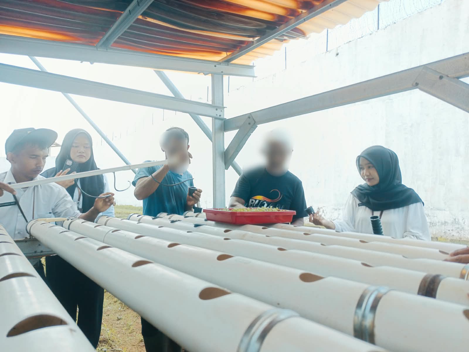 Rutan Banda Aceh Laksanakan Pindah Tanam Pakcoy pada Sistem Hidroponik